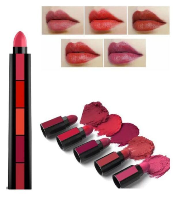 5 in 1 Matte Lipsticks with Red Brown Nude Pink and Maroon Shades