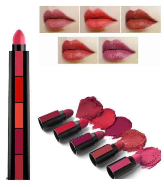 5 in 1 Matte Lipsticks with Red Brown Nude Pink and Maroon Shades